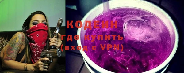 твердый Вяземский