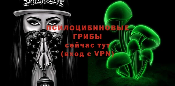 твердый Вяземский