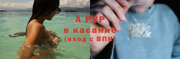 твердый Вяземский