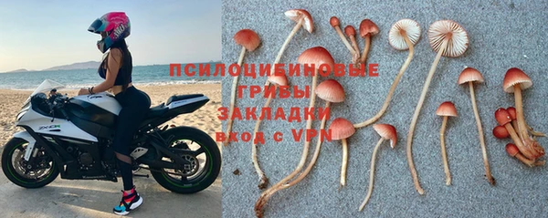 твердый Вяземский