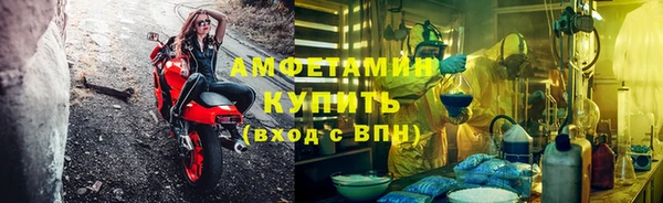 твердый Вяземский