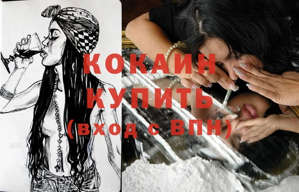 твердый Вяземский