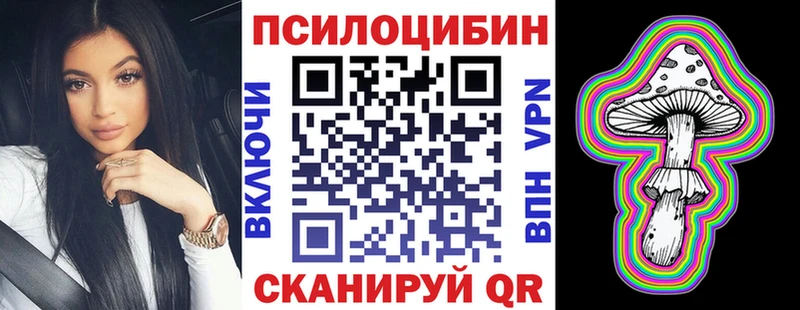 mega как войти  Северобайкальск  Галлюциногенные грибы мицелий 